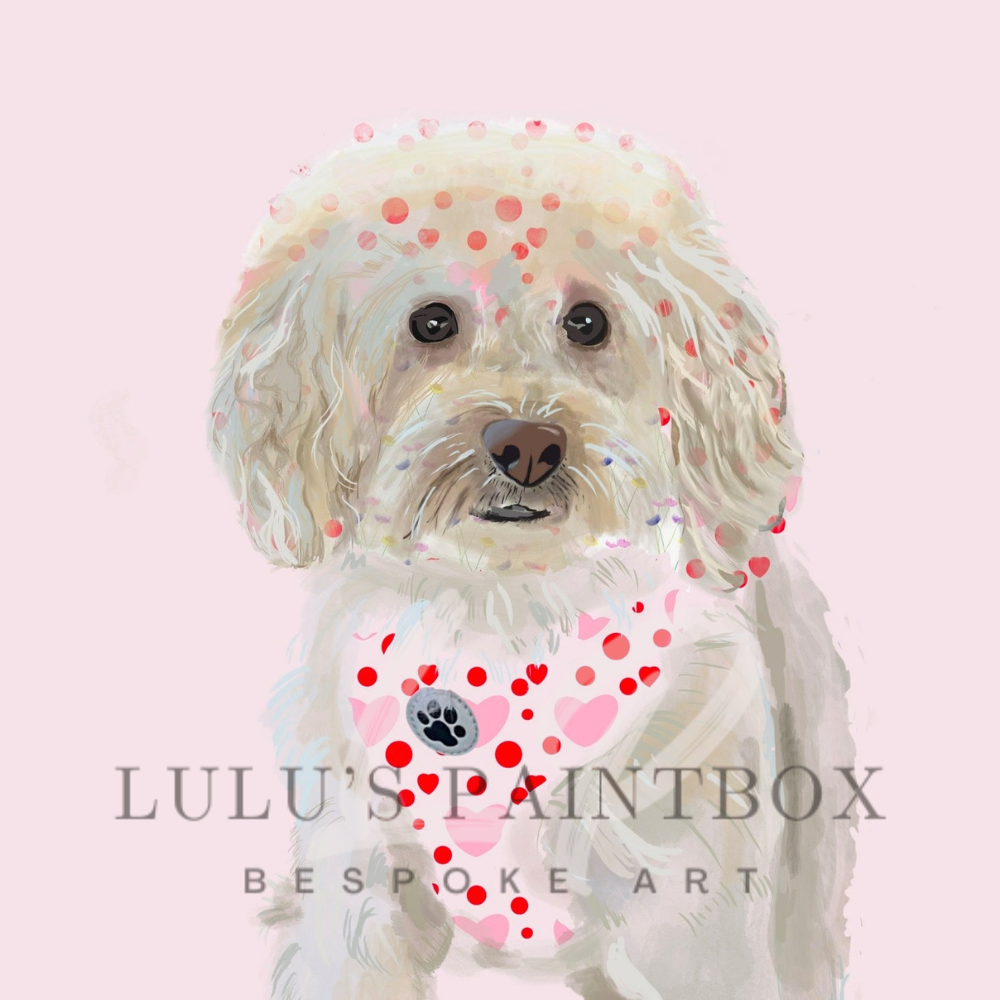 Patterned Pet Commissions