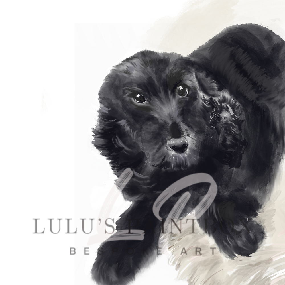 Digital Pet Portrait Commissions